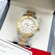 Replica Rolex Sky Dweller White Dial 2-Tone Gold Case Watch  (5)_th.jpg